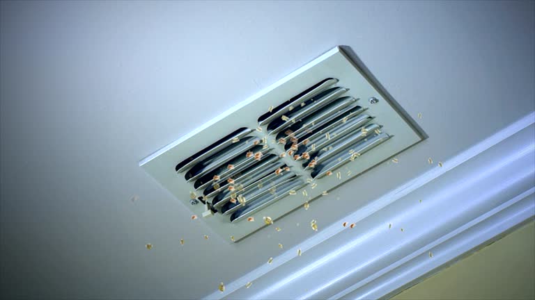 Best Professional Duct Cleaning Services  in Mayflower Village, CA