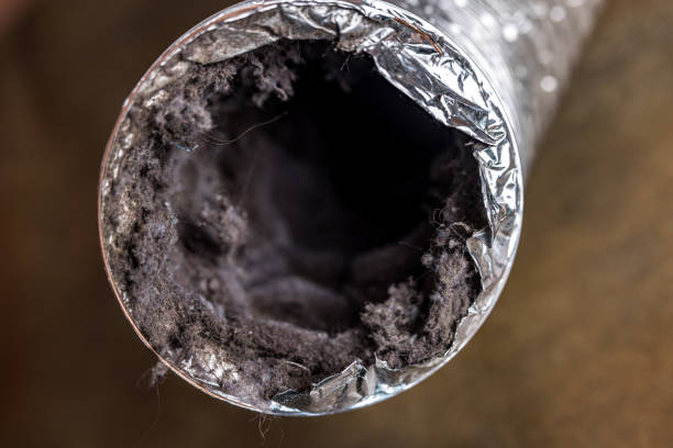 Best Commercial Air Duct Cleaning  in Mayflower Village, CA