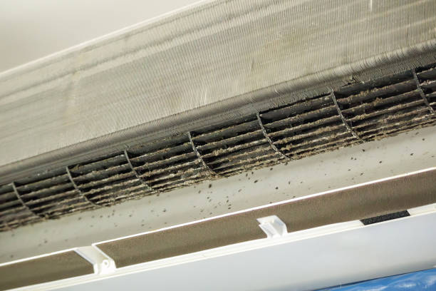 Best Ventilation Cleaning Services  in Mayflower Village, CA